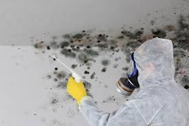 Mold Remediation for Vacation Homes in Franklin, NH